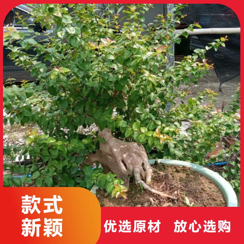 水环境生态治理淤泥固化黑臭水体治理创造