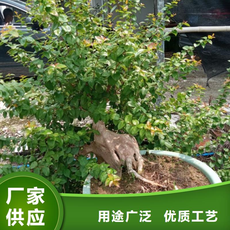 生态环境治理淤泥固化黑臭水体治理生产厂家