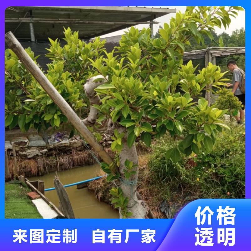 生态环境治理黑臭水体治理污泥固化厂家|