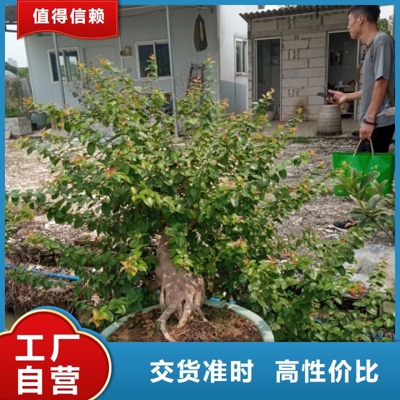 河道清淤污泥原位固化淤泥固化黑臭水体治理客户至上