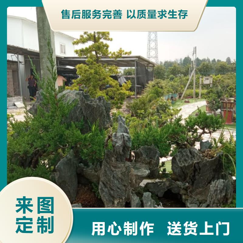 河道流域整治底泥净化剂值得信赖