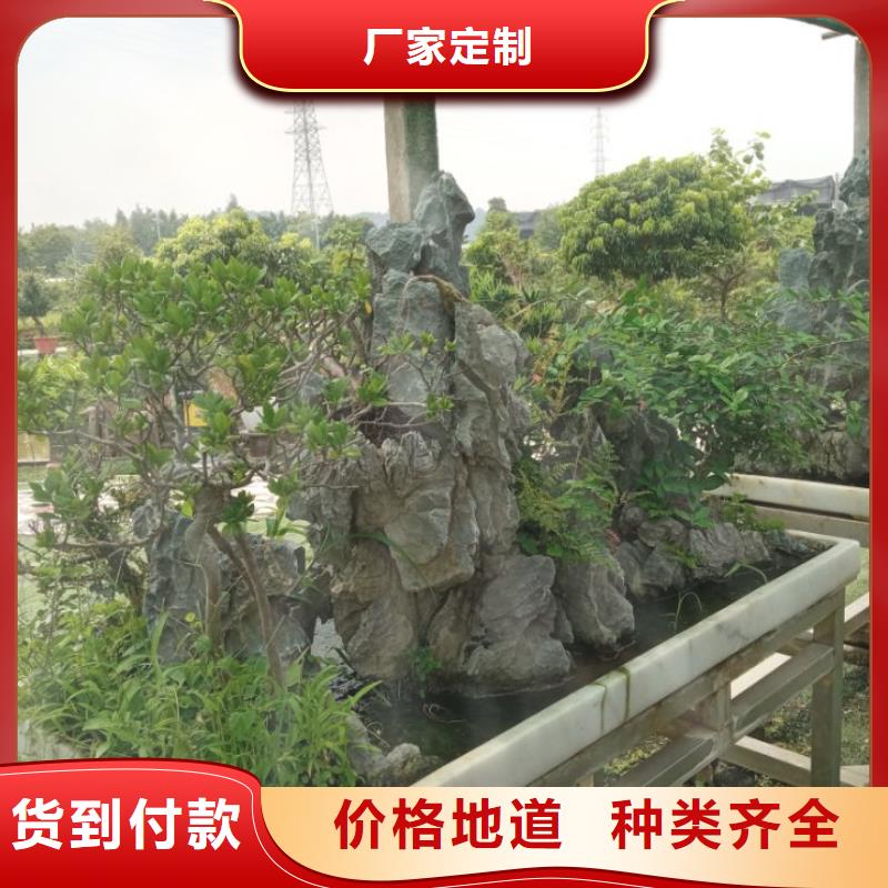 河道清淤污泥原位固化淤泥固化黑臭水体治理客户至上