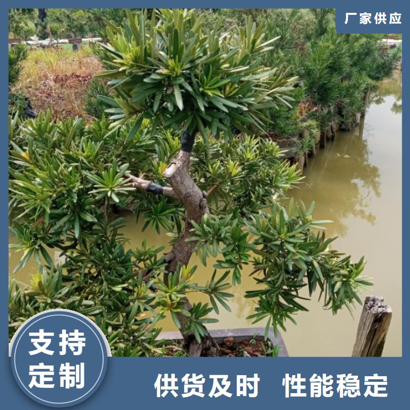农田高标准改良底泥净化剂价格