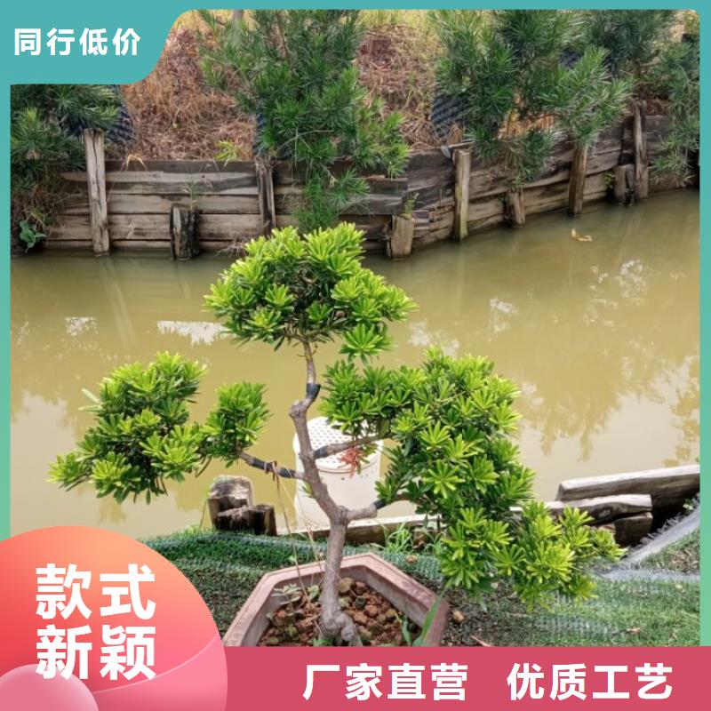 生态环境治理底泥净化剂厂家