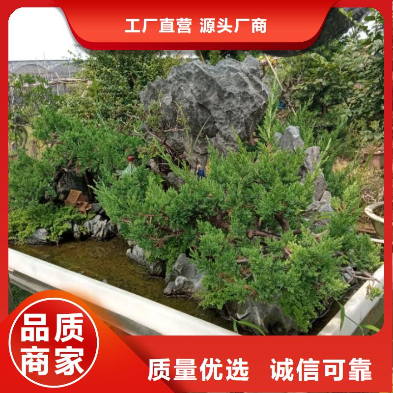 平整土地固化土壤稳定剂|服务至上