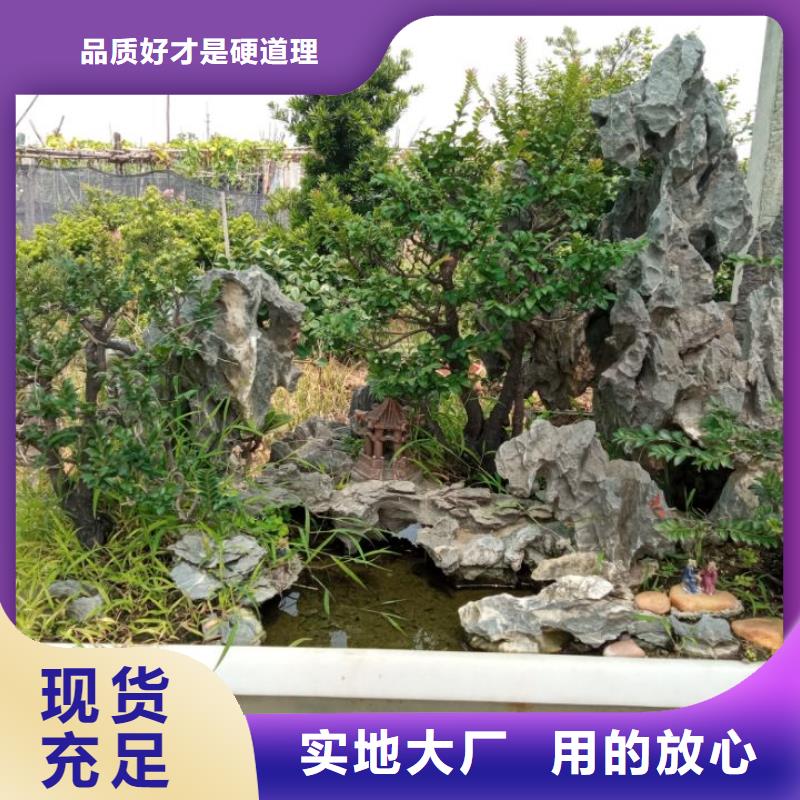 土壤污染修复底泥净化剂厂家