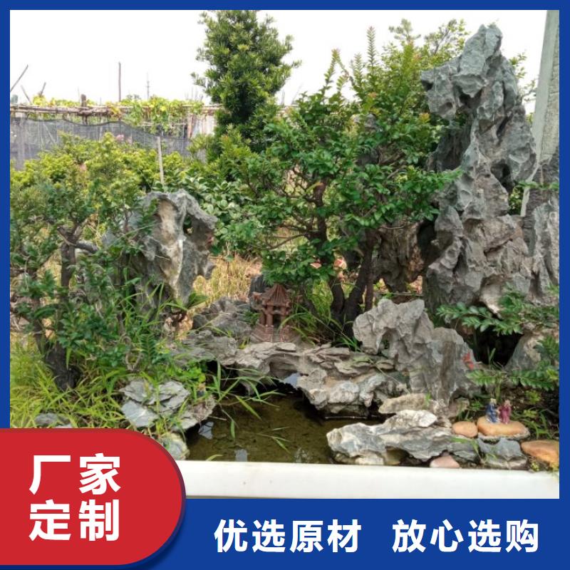 土壤污染修复淤泥固化黑臭水体治理加工