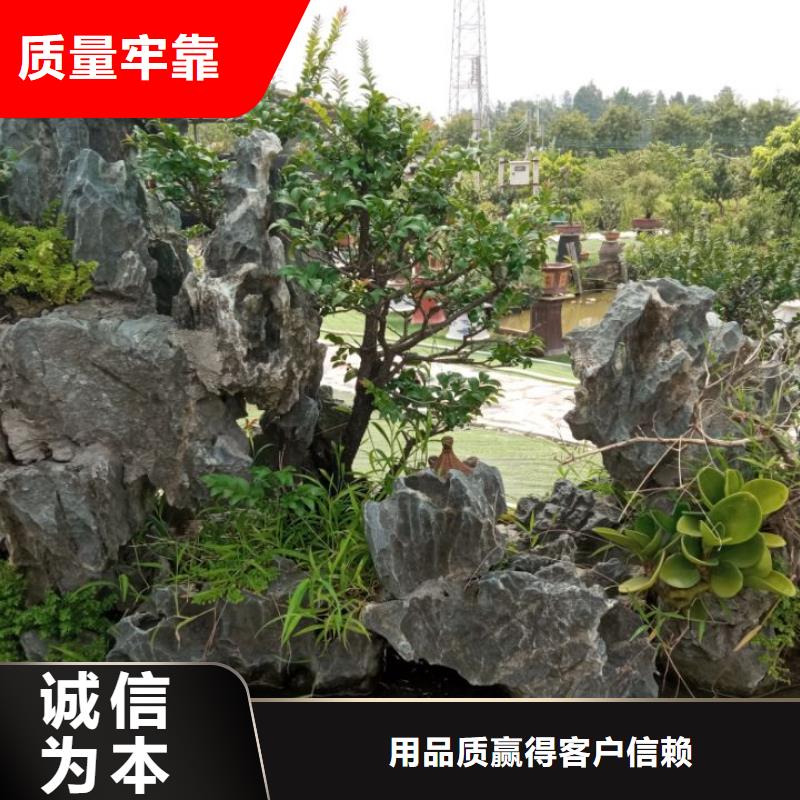 土壤污染修复底泥净化剂厂家
