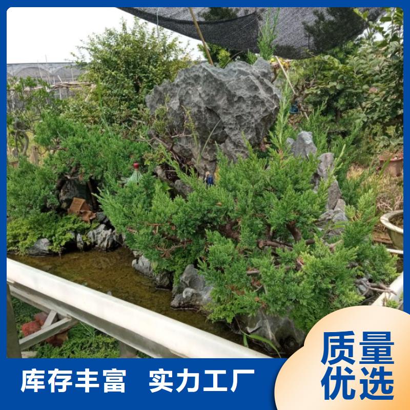 生态环境治理黑臭水体治理污泥固化厂家|