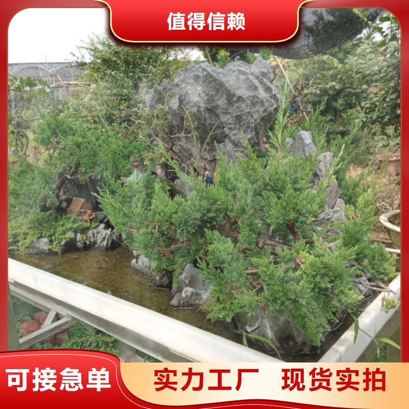 河道清淤污泥原位固化底泥净化剂哪家好
