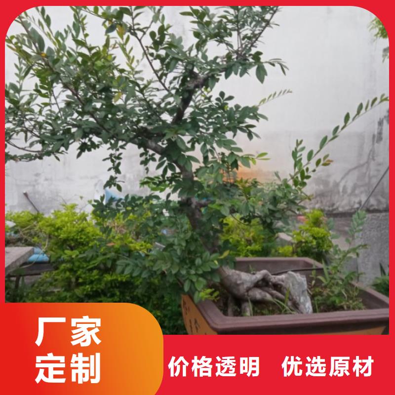 水环境生态治理淤泥固化黑臭水体治理创造
