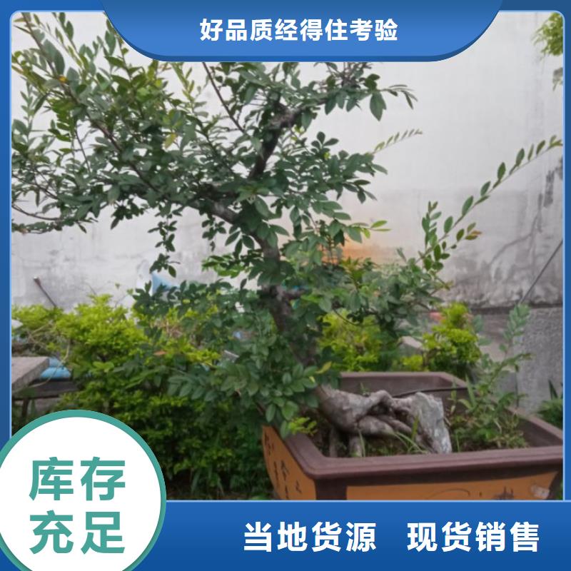 土壤污染修复淤泥固化黑臭水体治理加工