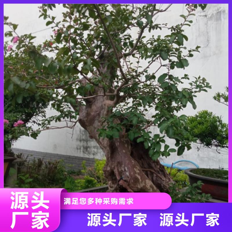农村污水治理黑臭水体治理污泥固化_诚信为本
