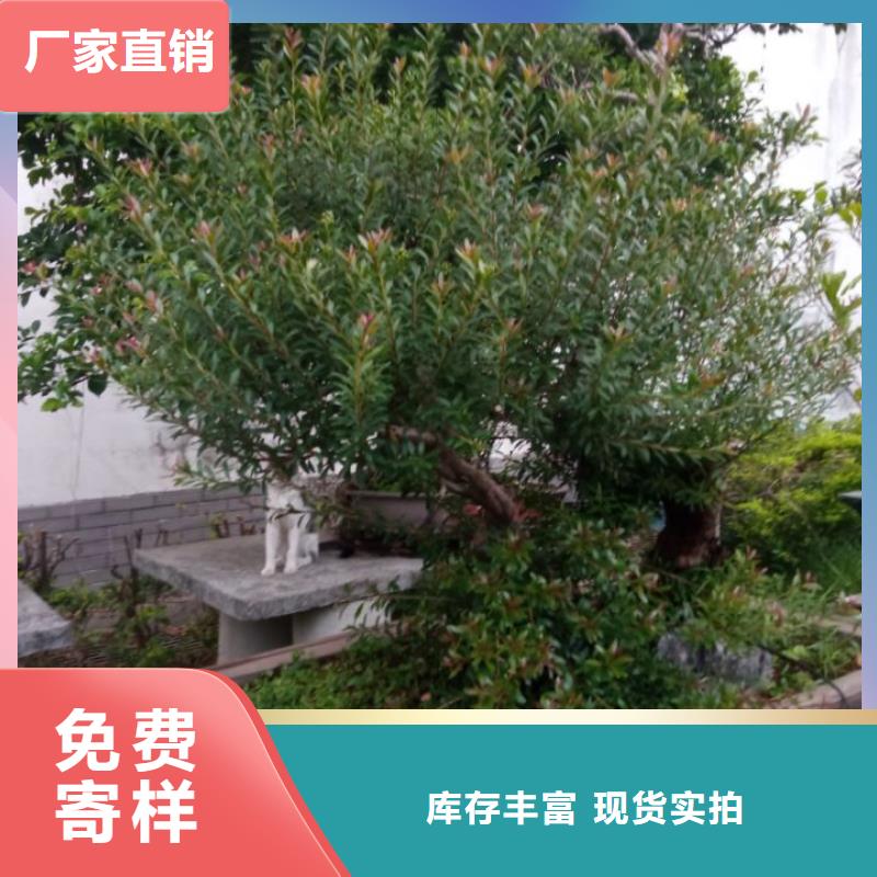 生态环境治理黑臭水体治理污泥固化多少钱