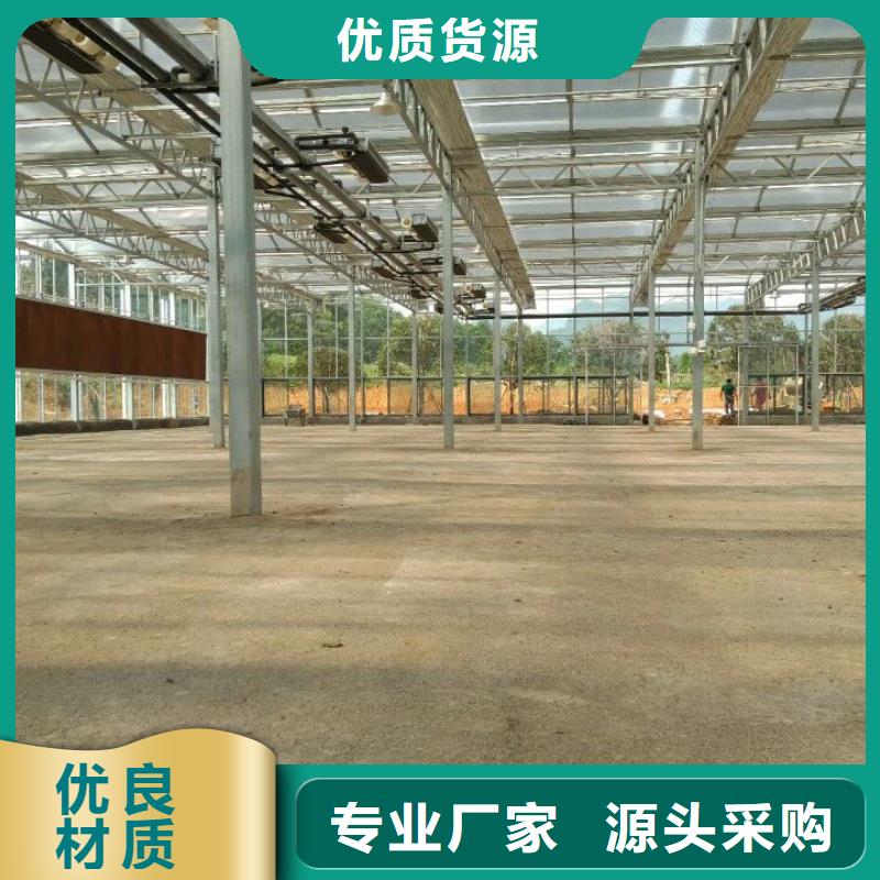 河道清淤污泥原位固化底泥净化剂哪家好