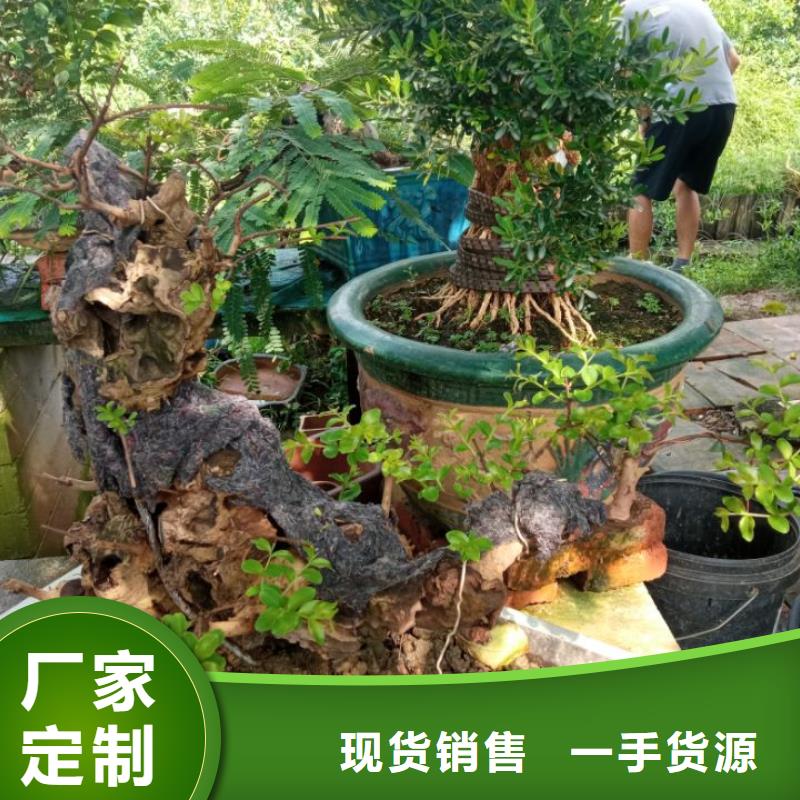 寺庙屋面修缮聚脲喷涂防腐商情