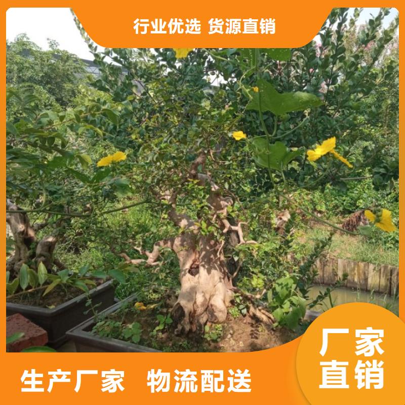 琉璃瓦屋面防水修缮屋面防水维修详情