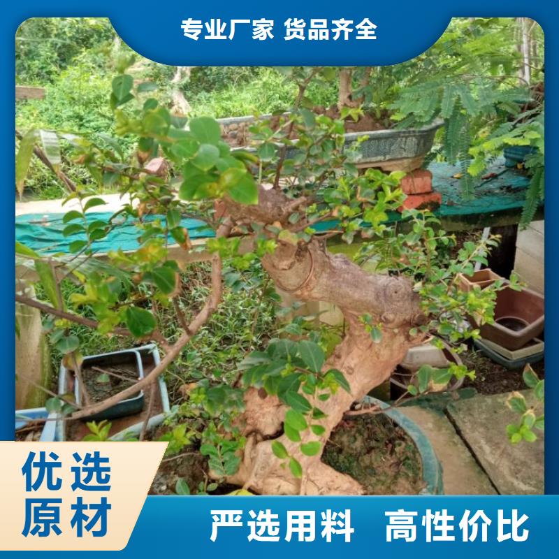 寺庙防水维修屋面防水维修高清图