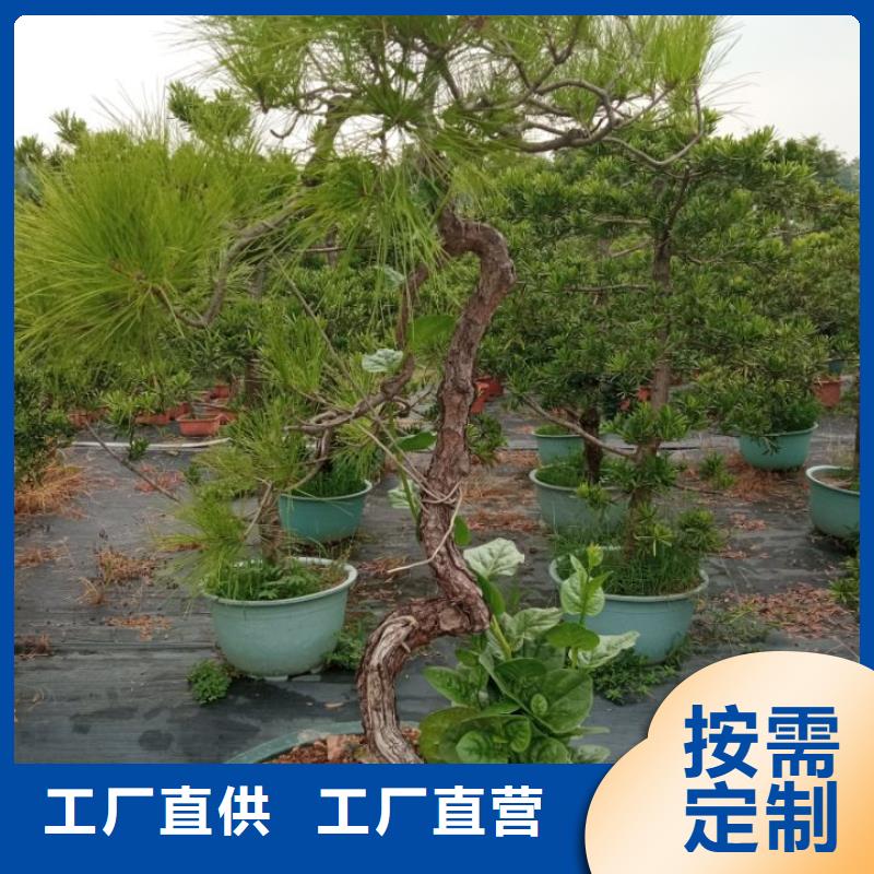寺庙防水维修屋面防水维修高清图