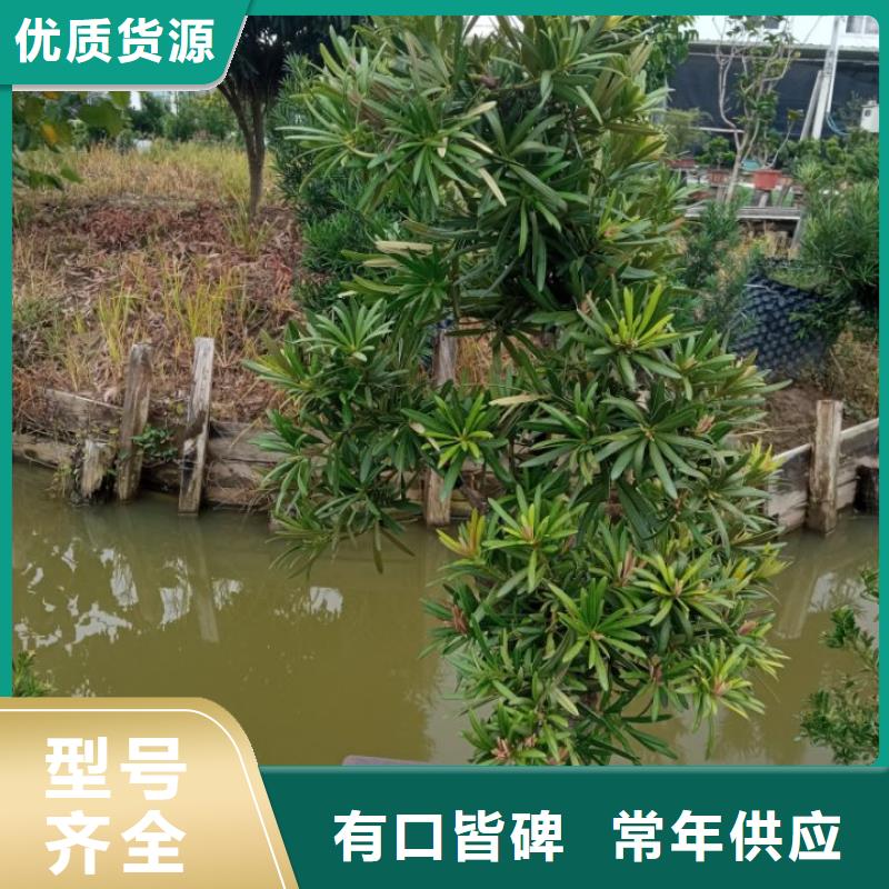 园林绿化种植土壤标准陕西安园林绿化种植土壤标准诚信