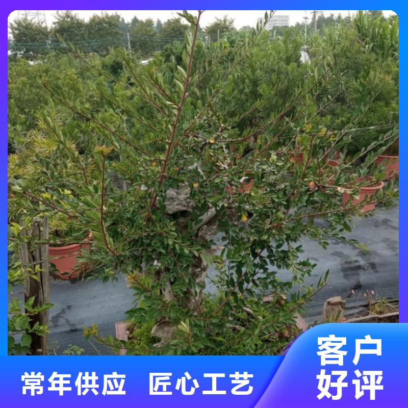 琉璃瓦屋面防水修缮屋面防水维修咨询