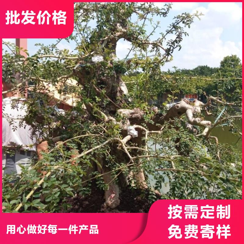 琉璃瓦屋面防水修缮屋面防水维修咨询