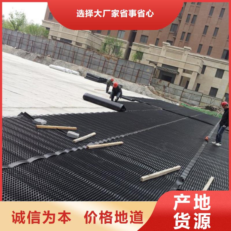 排水板正规实体厂家