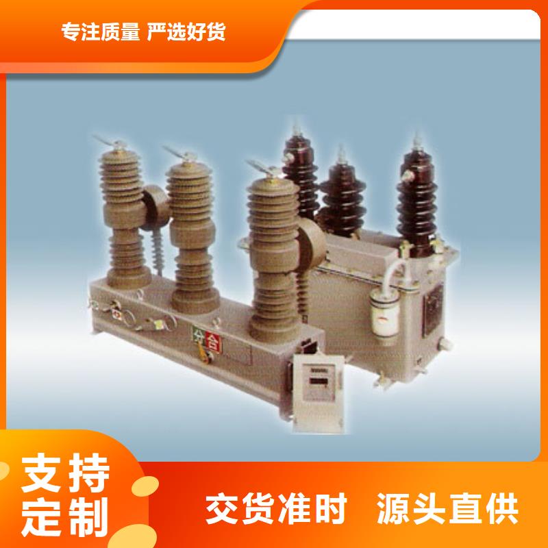 真空断路器总代直销