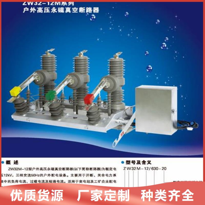 欢迎访问-真空断路器厂家