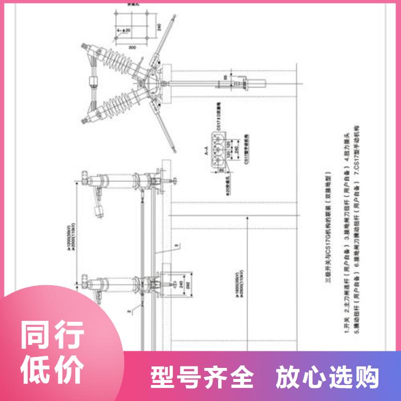 经验丰富的隔离开关基地