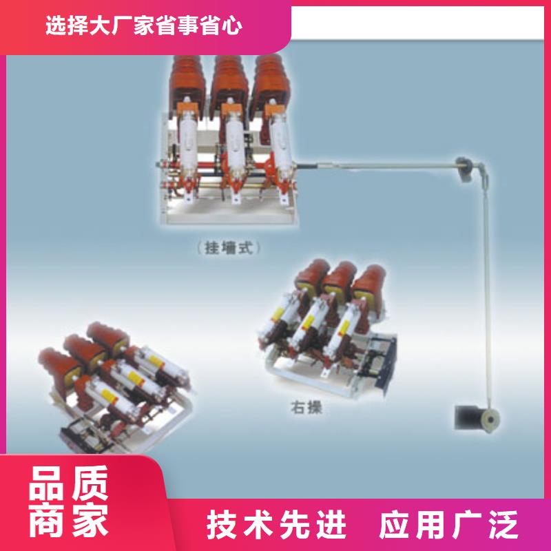 常年供应接地开关 负荷开关-现货供应