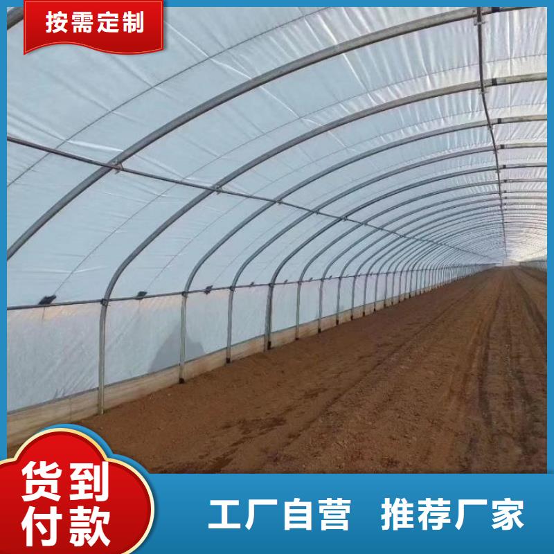 大棚钢管-送货上门
