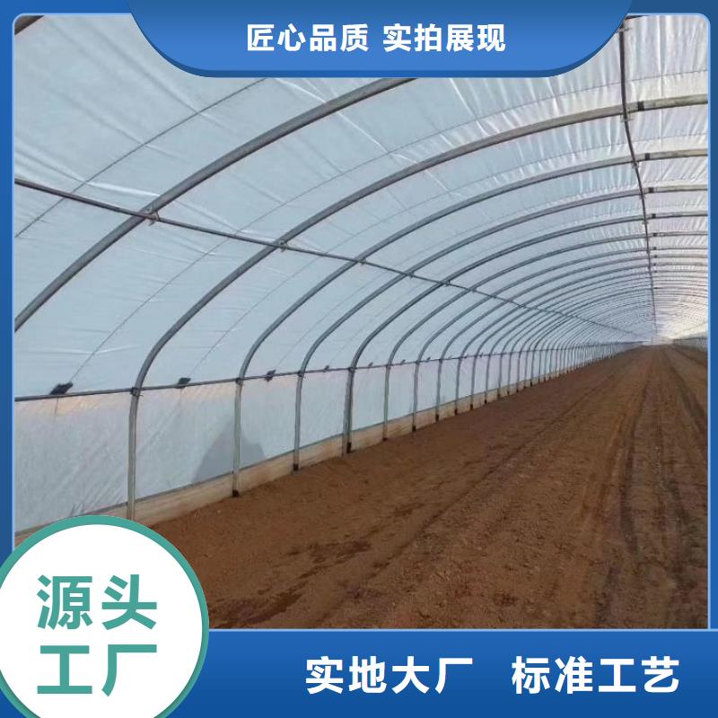 #大棚钢管#到厂参观