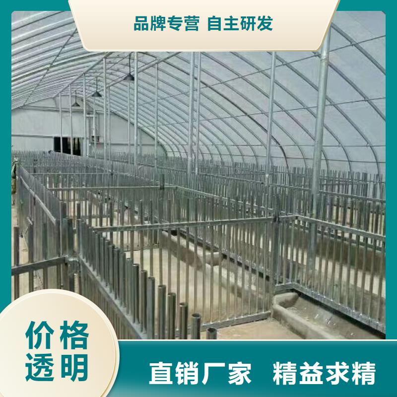 专业销售大棚钢管-大型厂家