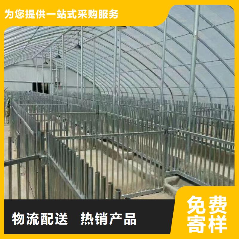 #大棚钢管#到厂参观