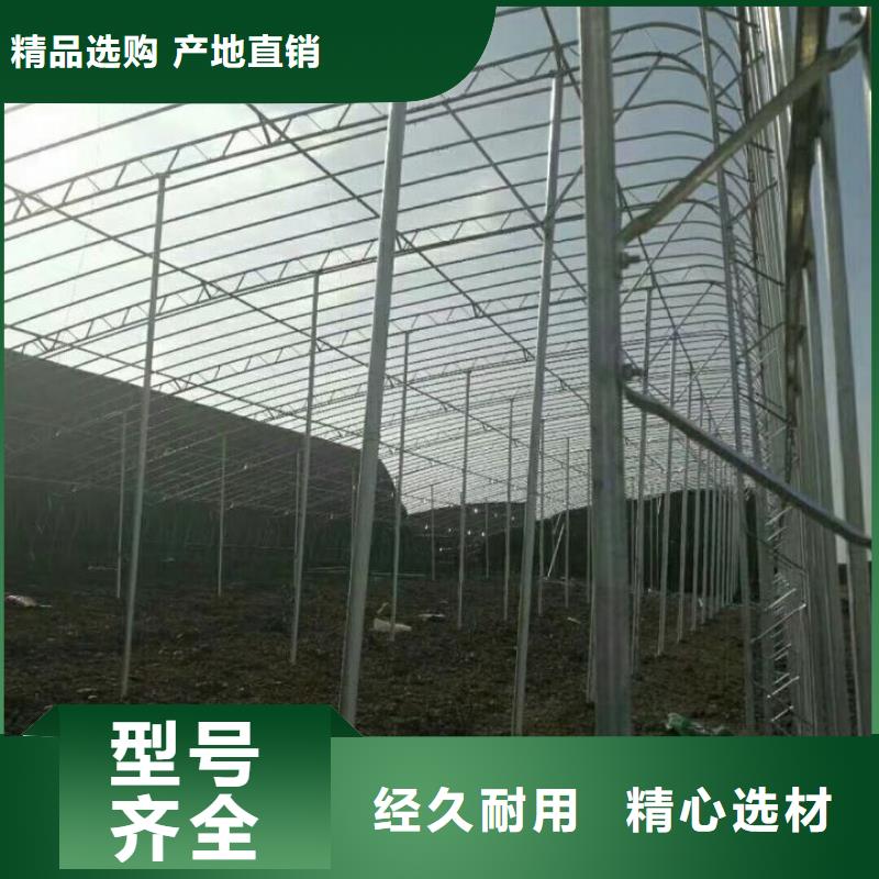 2025质量可靠##大棚钢管##厂家批发