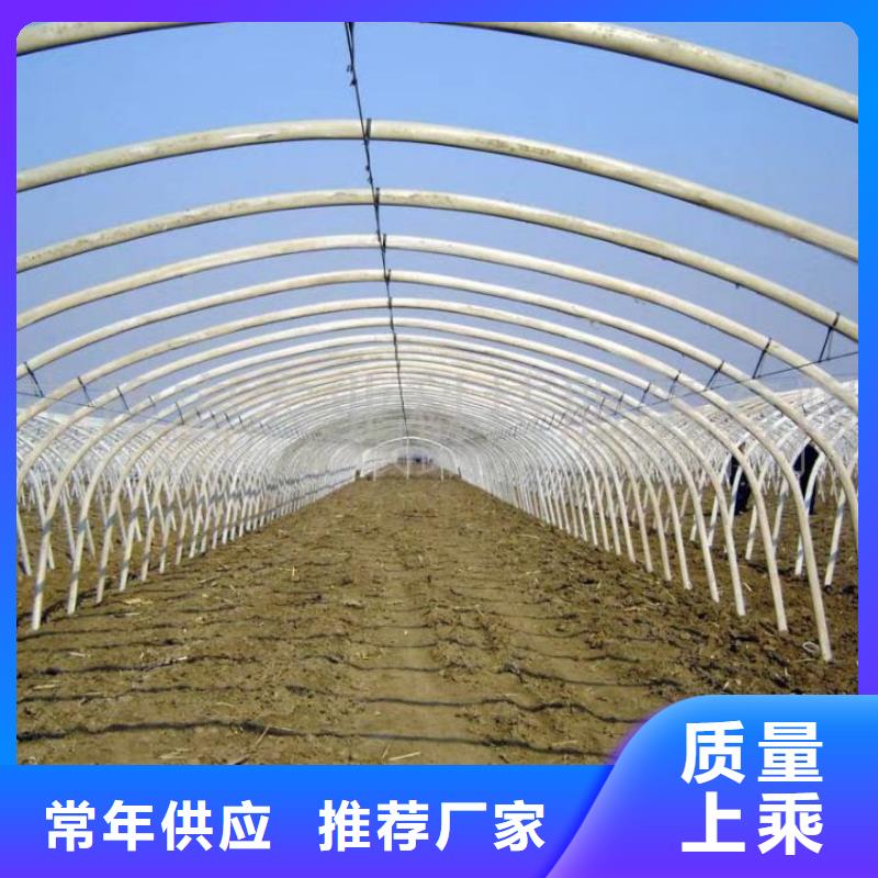 大棚钢管老牌企业