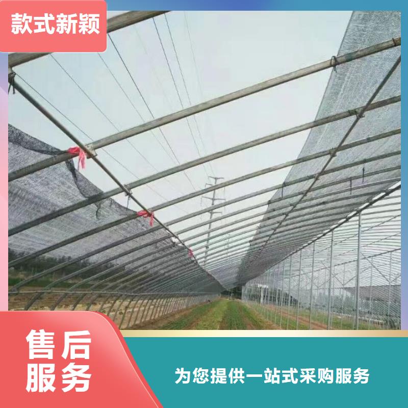 大棚钢管热销好货