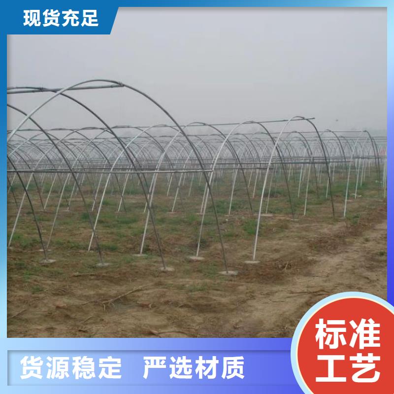 大棚钢管大规模厂家