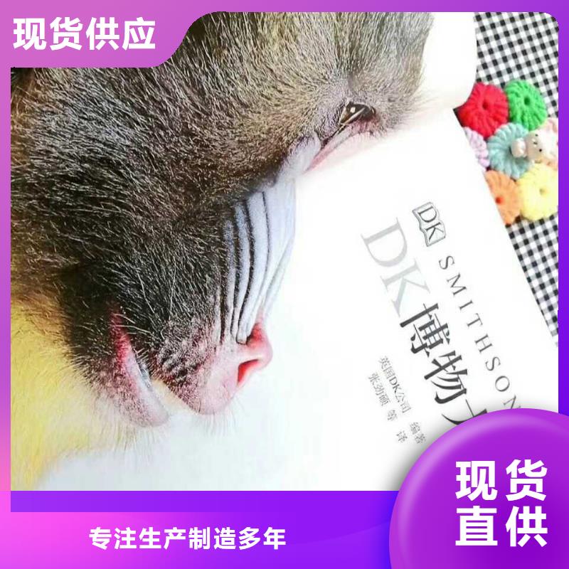 厚街镇儿童图书促销等你来