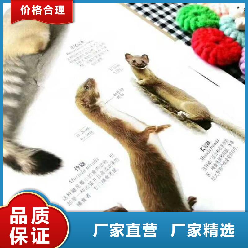 儿童图书厂家/欢迎致电实力厂商