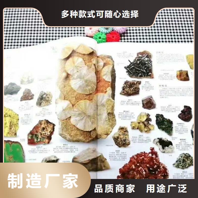 儿童图书企业-价格合理当地公司