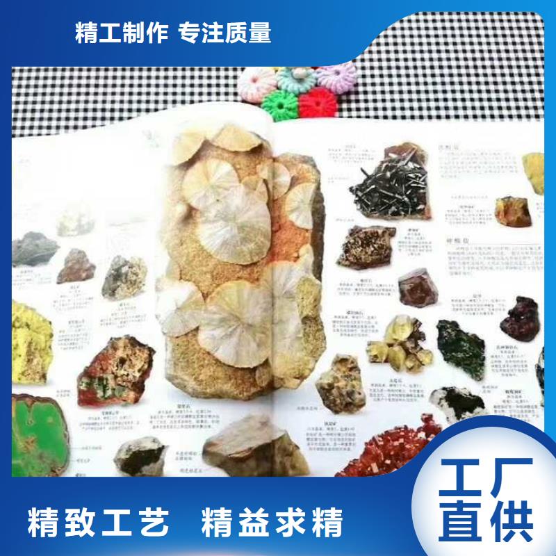 儿童图书现场安装定制定做