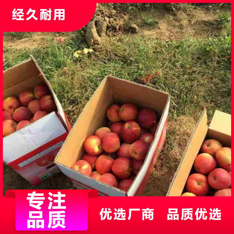 #苹果#-全国直销