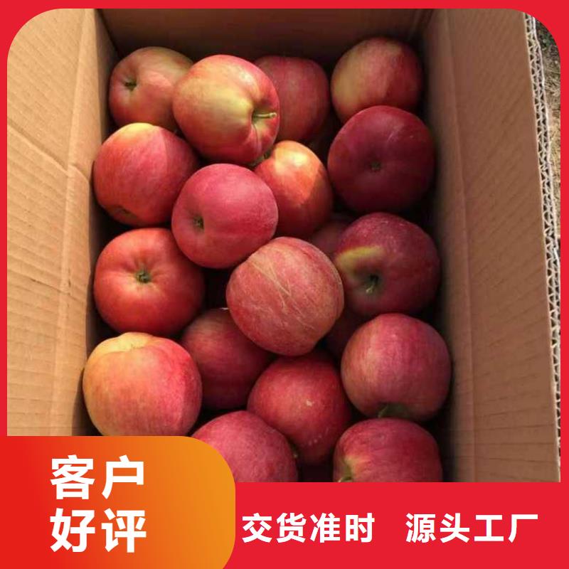 口碑好的苹果厂家