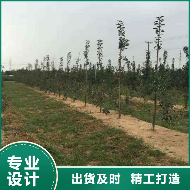 苹果-苹果价格实惠