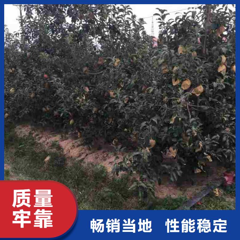 苹果采购认准大厂