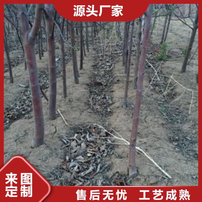 苹果优选商家