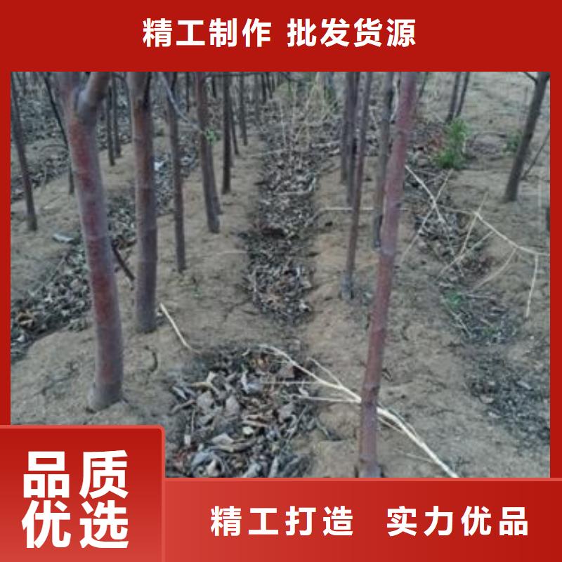 苹果厂家-值得信赖