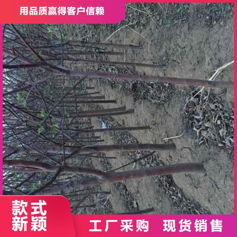 苹果贴心售后